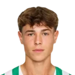 Ermin Mahmic
