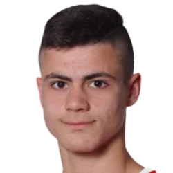 Slobodan Stanojlovic